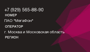 9295658890